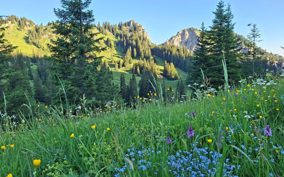 Sommer Bergtour, Wandern